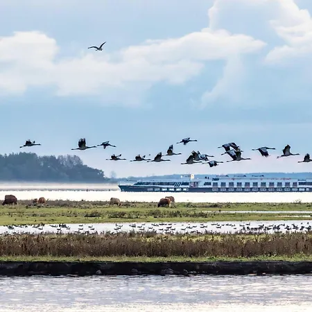 Kleine Freiheit An Der Seebruecke * Zingst